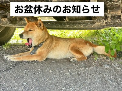 S__33562638.jpg