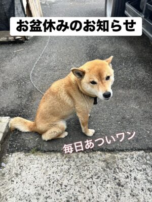 S__43745296.jpg